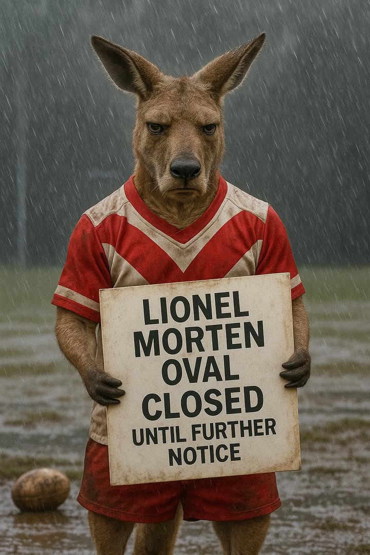 Featured image for “Roo’s Facebook Team: Celebrating Success and Sharing Important Updates”
