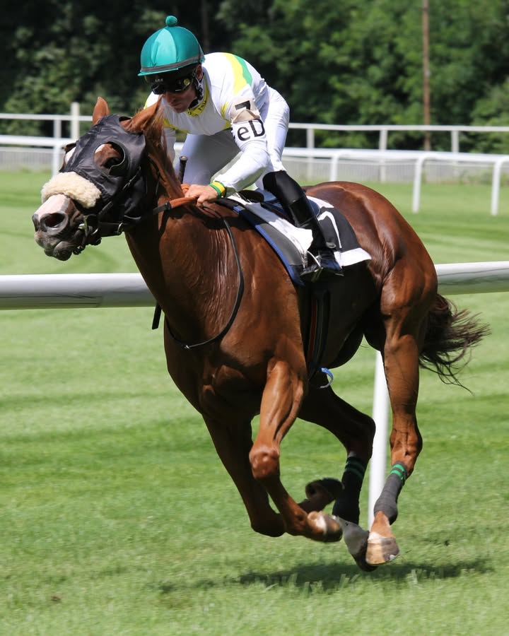 Featured image for “Melbourne Cup Calcutta Night: Thrilling Auction & Prizes at Karuah RSL”